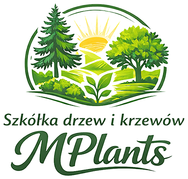 logo_400